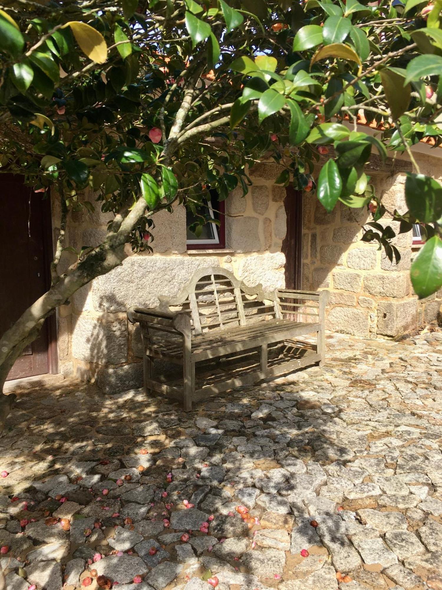 Quinta De Mocamedes - Turismo De Habitacao Vouzela Exterior foto