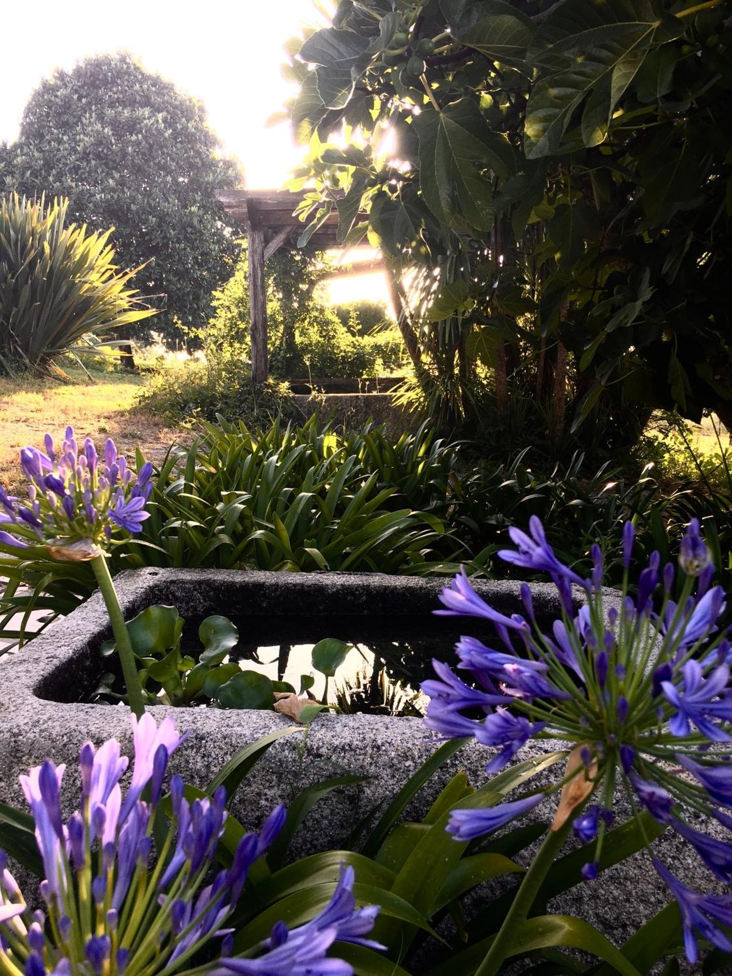 Quinta De Mocamedes - Turismo De Habitacao Vouzela Exterior foto
